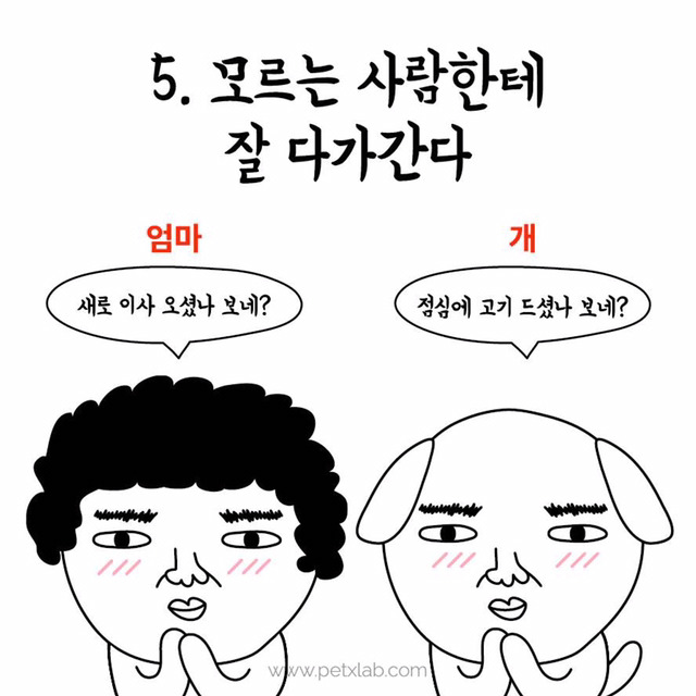 엄마와 강아지의 평행이론 | 인스티즈
