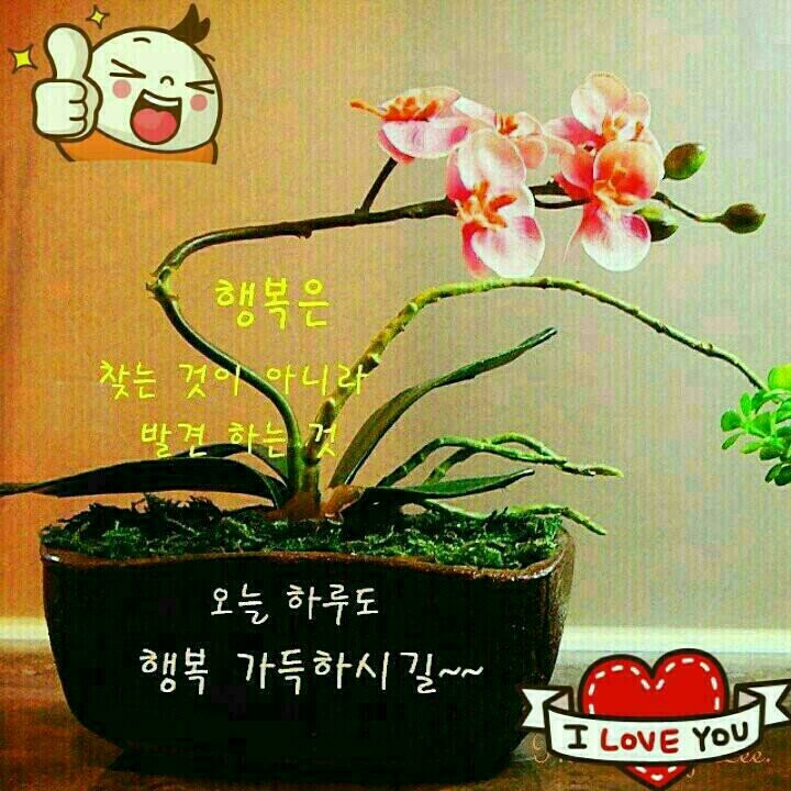 한주 이미지