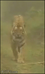 지리는 순간들 gif | 인스티즈