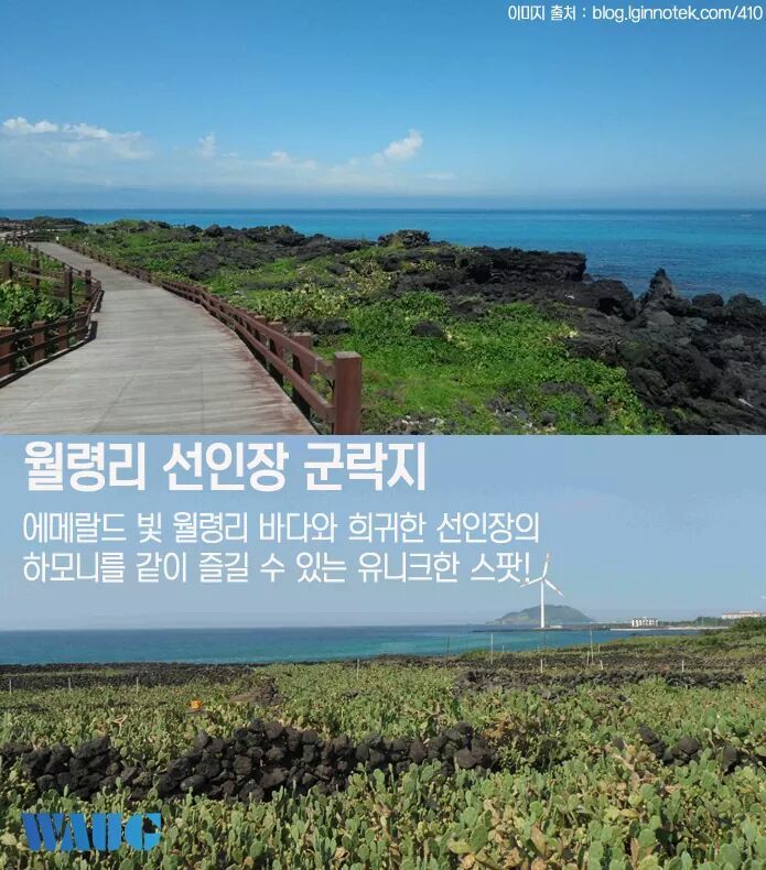 그리 유명하지 않은 제주도 숨은 여행지 7곳 | 인스티즈