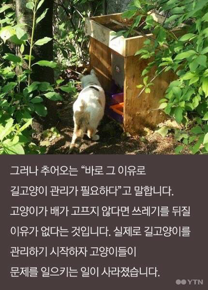 다시 태어난다면 국민대 고양이로... | 인스티즈