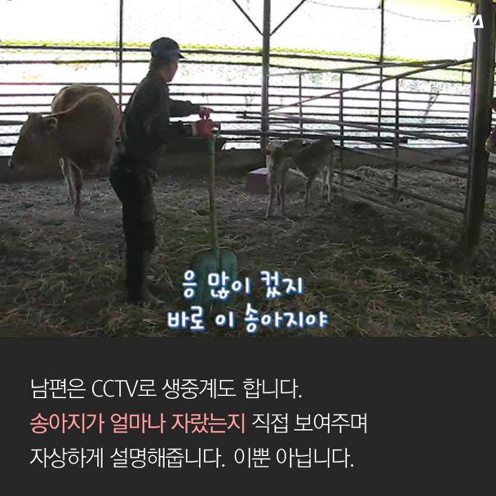 CCTV로 고백하는 남자 | 인스티즈