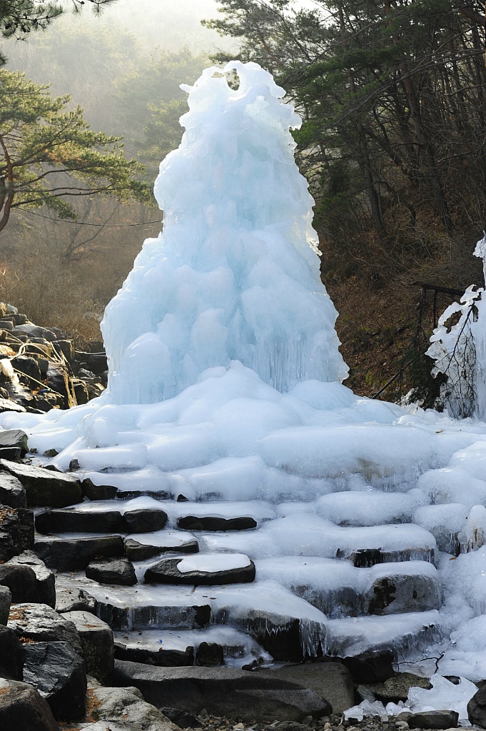 빙아 이미지
