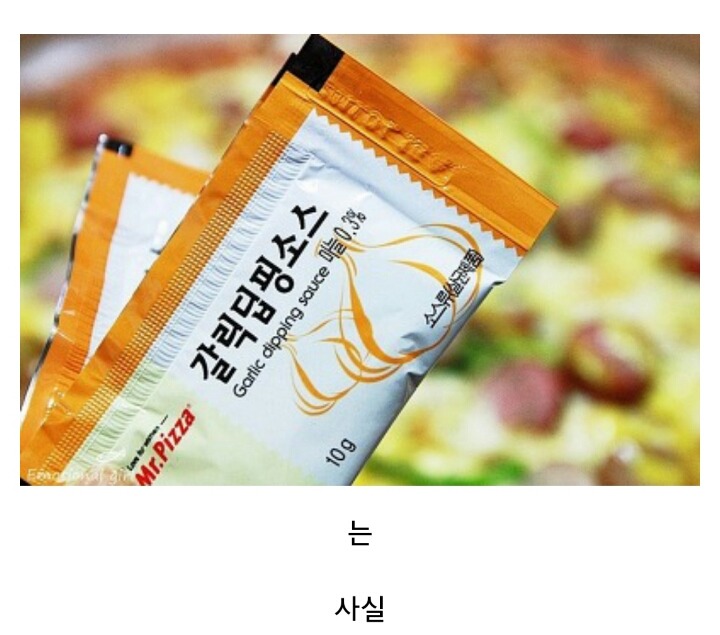 많은 사람들이 열광하는 갈릭디핑소스의 실체.jpg | 인스티즈