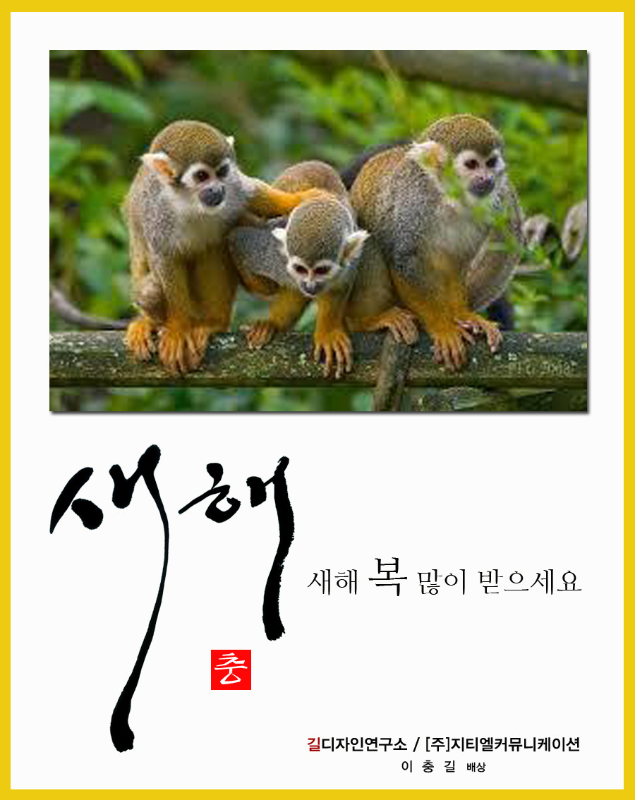 지티엘커뮤니케이션주 이미지