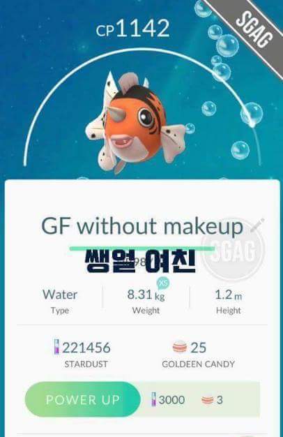 포켓몬고 작명센스 | 인스티즈