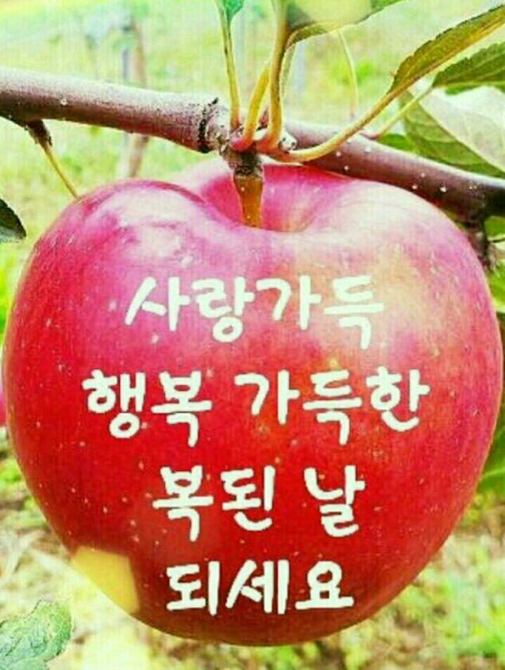 호방 이미지