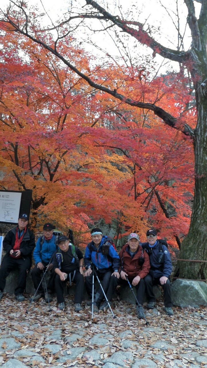 89수산 이미지