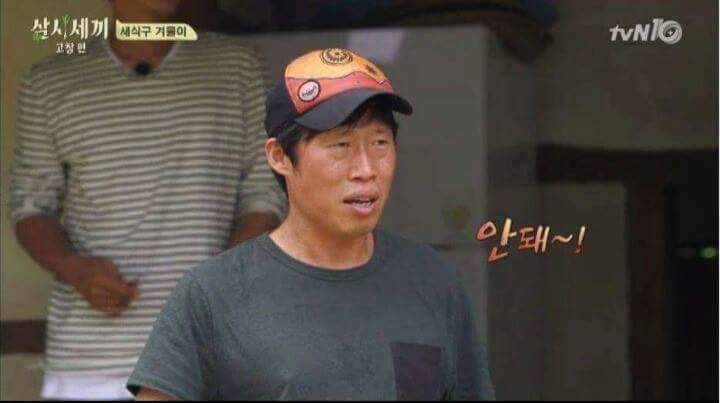 강아지가 안 보일때 꿀팁 | 인스티즈