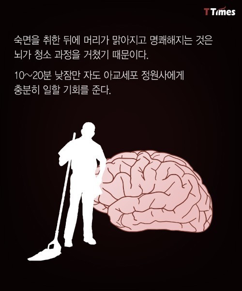 나쁜 기억들을 가지치기 하는 법 | 인스티즈