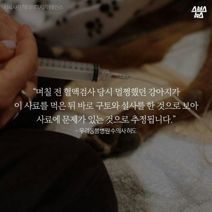 애정이 독이 된 사료 | 인스티즈
