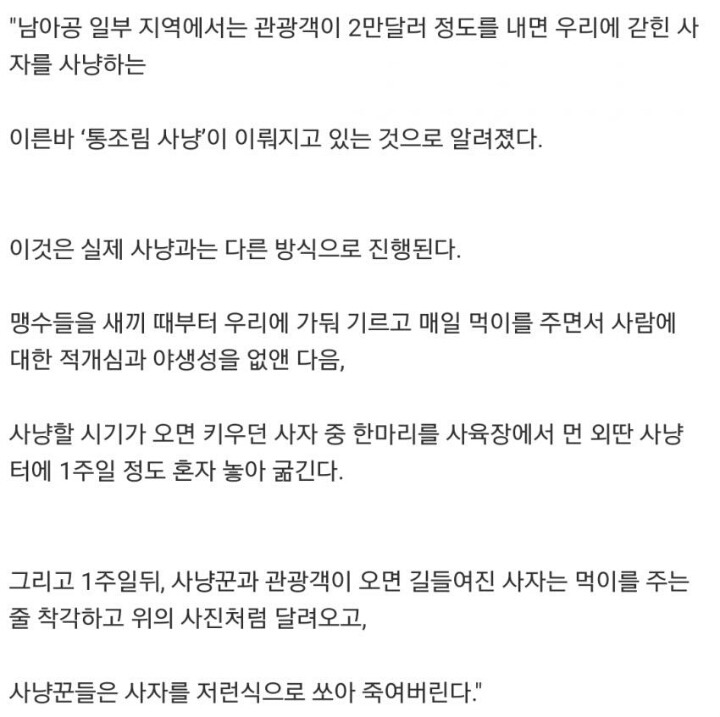 스윙스의 행동에 대해 분석하신 프로파일러.jpg | 인스티즈