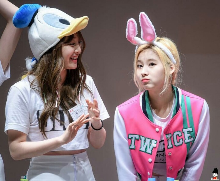 트와이스 사나 | 인스티즈