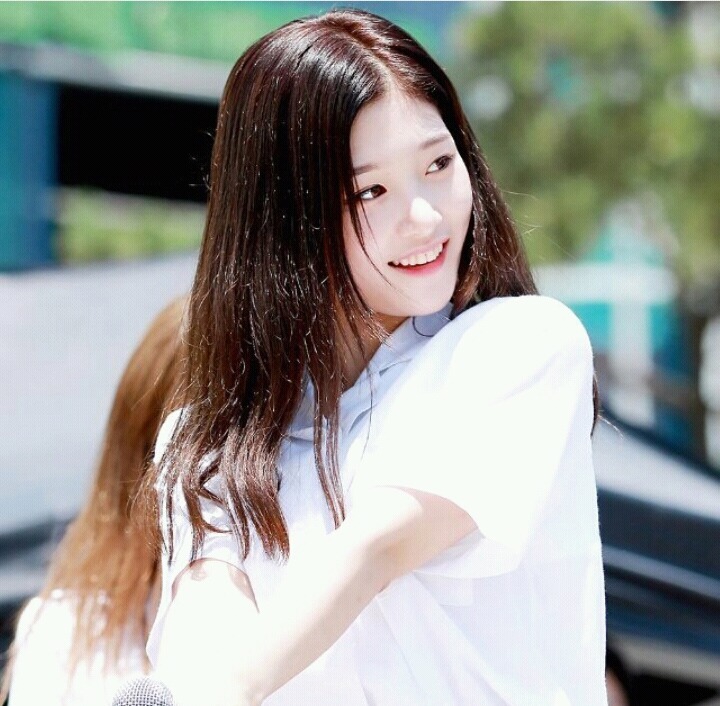 꽃미모 댕채연 | 인스티즈