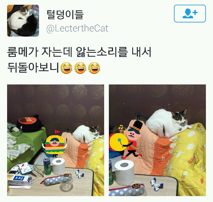 룸메가 자는데 앓는 소리가 나서 뒤돌아보니.twt | 인스티즈