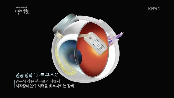 미국의 부활 1부 | 인스티즈