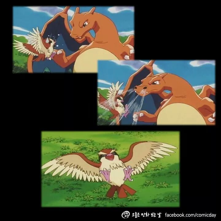 포켓몬스터 지우 인성 수준; (그래도 손오공이 더 쓰레기인듯) | 인스티즈