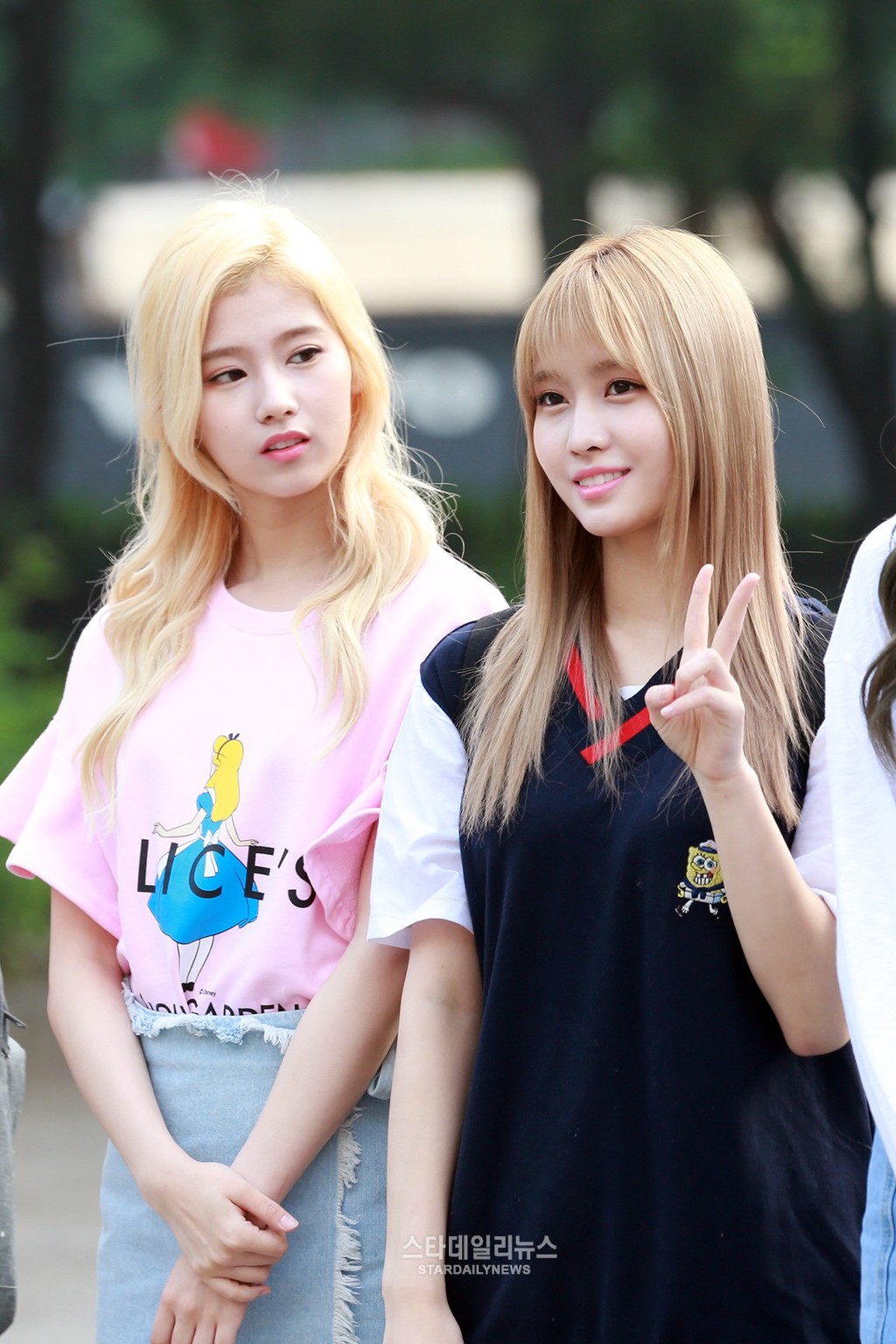 모모 vs 사나 | 인스티즈
