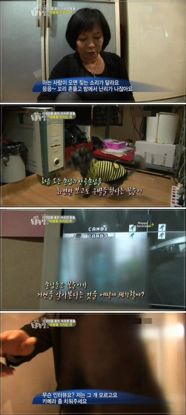 단골손님을 알아보는 개 | 인스티즈