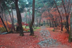 아름다운 생각 이미지