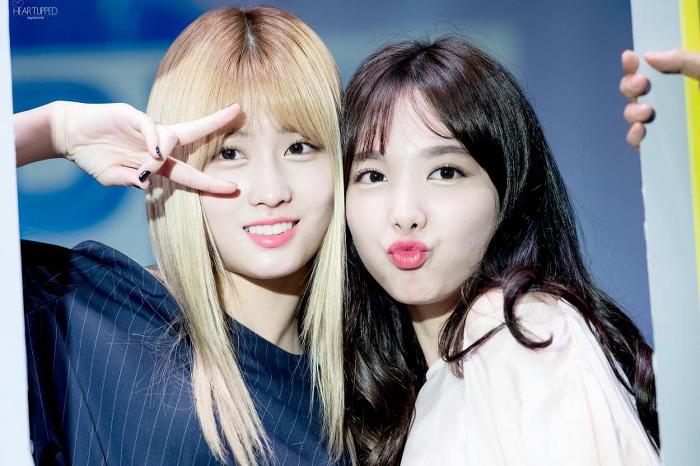 모모E 이미지