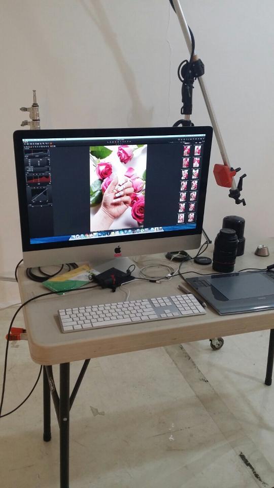 공주손톱 이미지