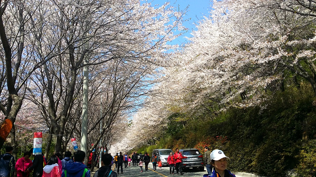 윤산 이미지