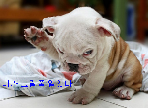 신장개업 이미지