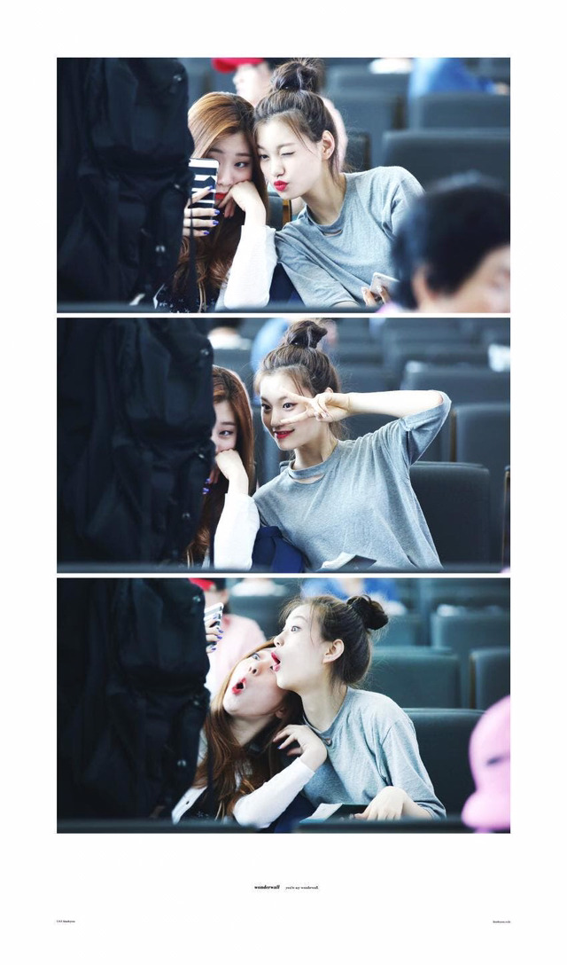 도연 이미지