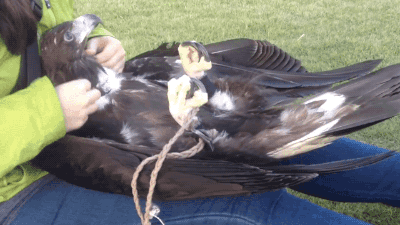 만져주는걸 좋아하는.gif | 인스티즈