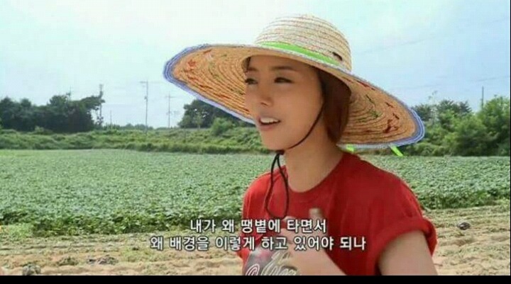 고구마 캐다가 빡쳐서 탈퇴한 아이돌 | 인스티즈