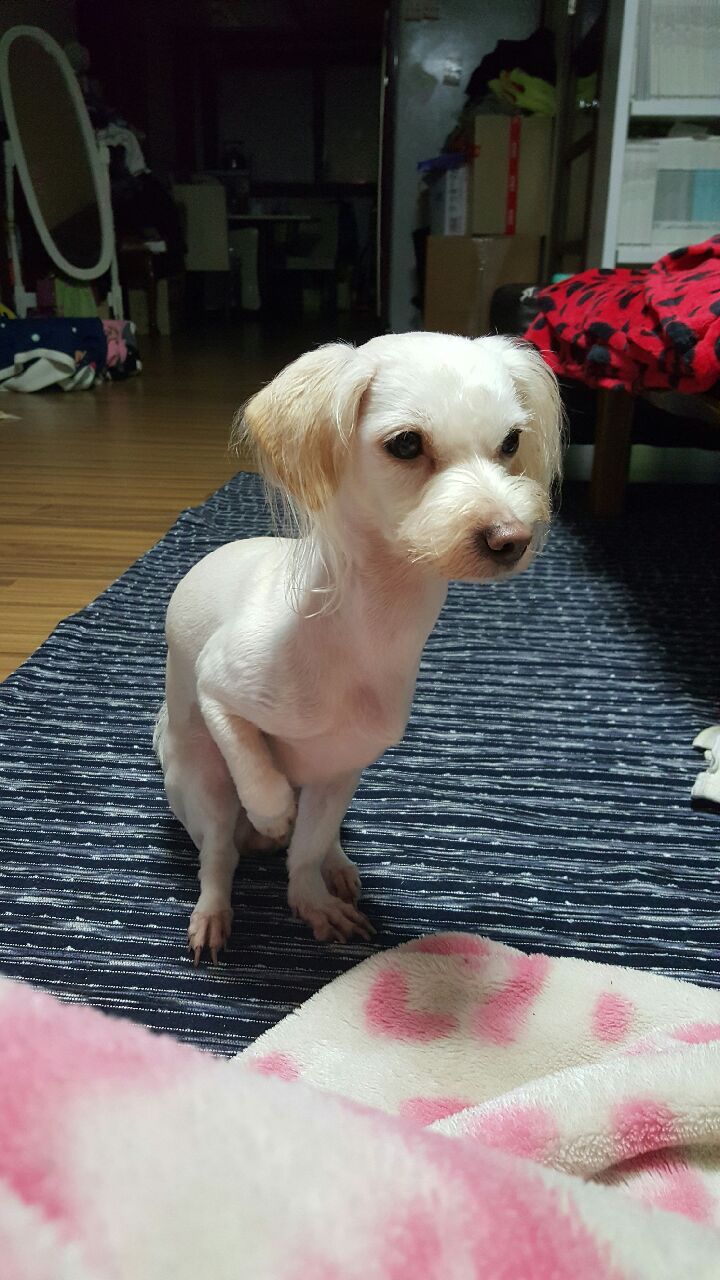 정의여자고등학교 이미지