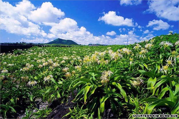 사진작가들을 매료시키는 한국에서 가장 아름다운 장소 Top40 | 인스티즈