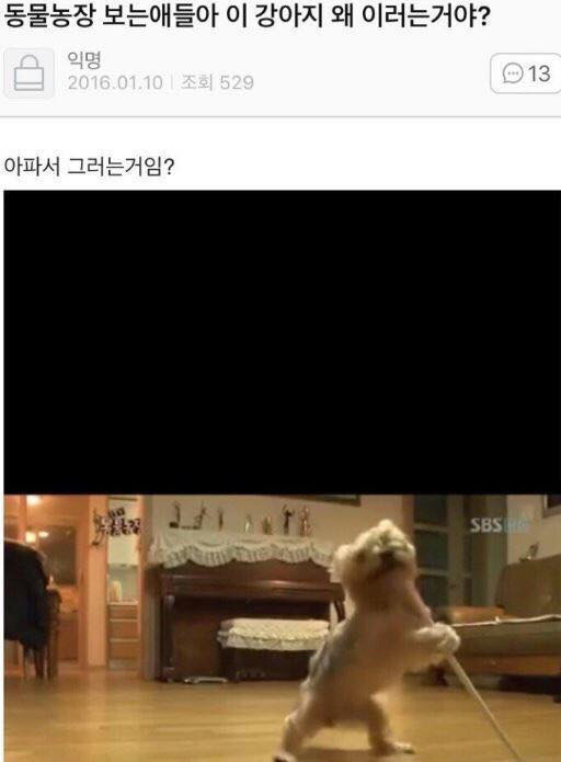 동물농장 이미지