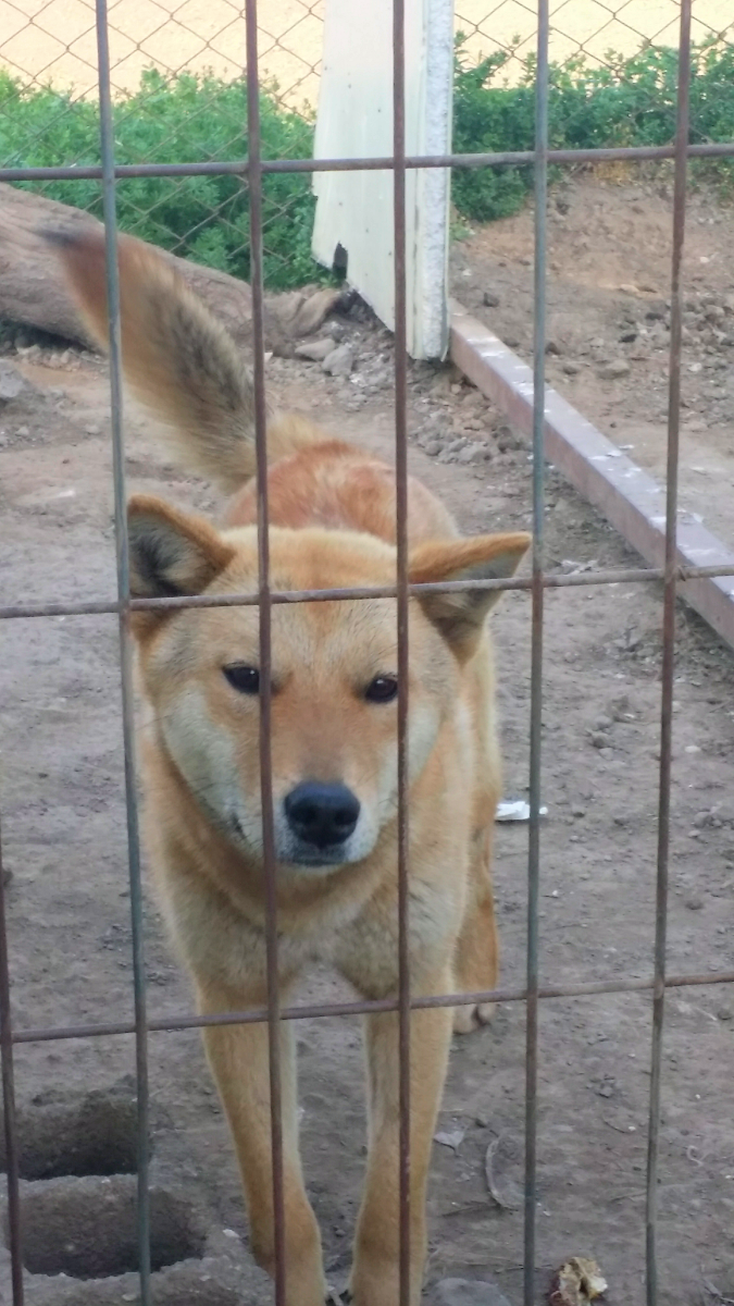 몬순이 이미지