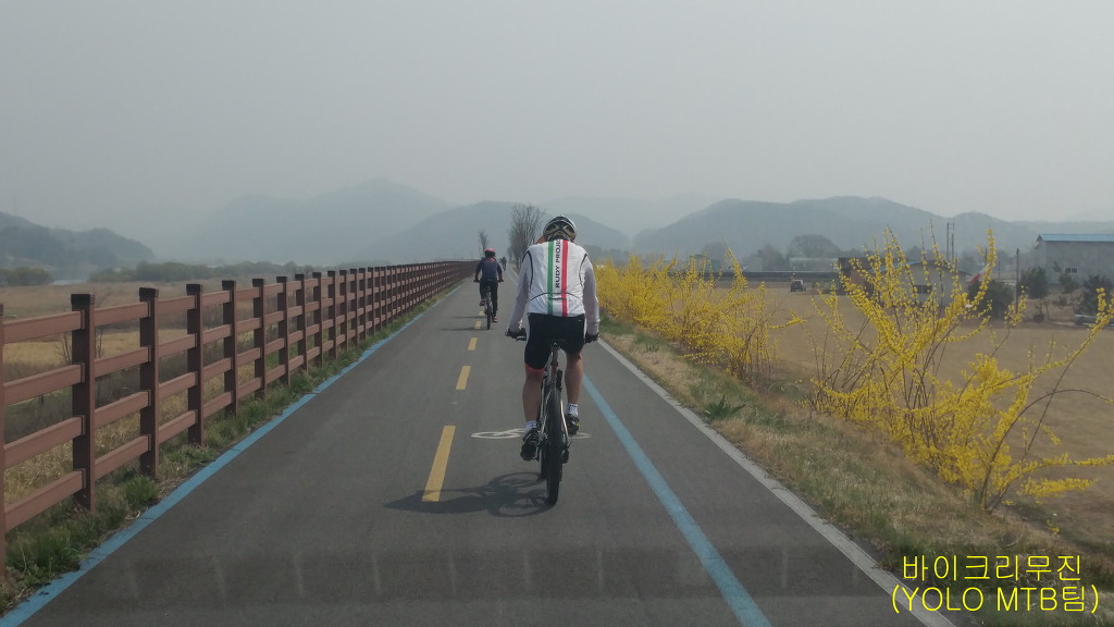 욜로아라 이미지