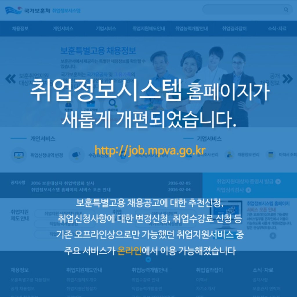 대한취업정보 이미지