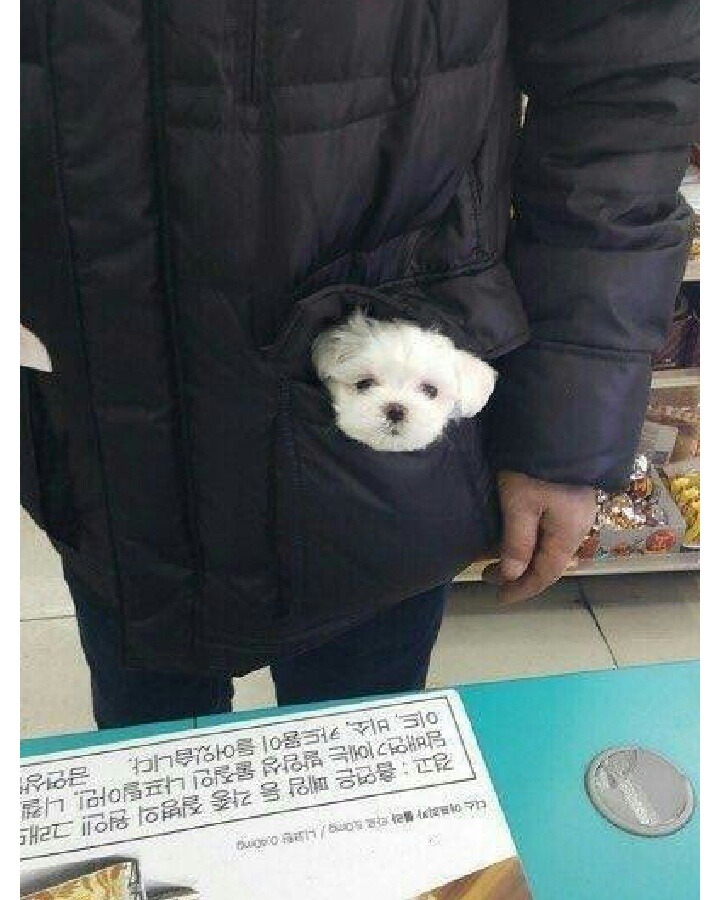 편의점 일하다가 겪어본 여러 모습들 ㅋ | 인스티즈