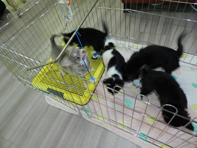 블랙파티 이미지