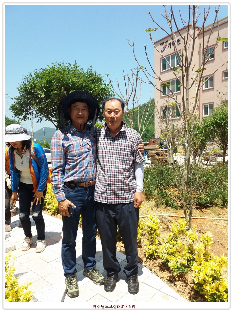 이화조경 이미지
