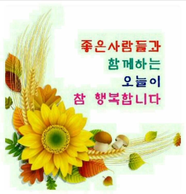 마음 이미지