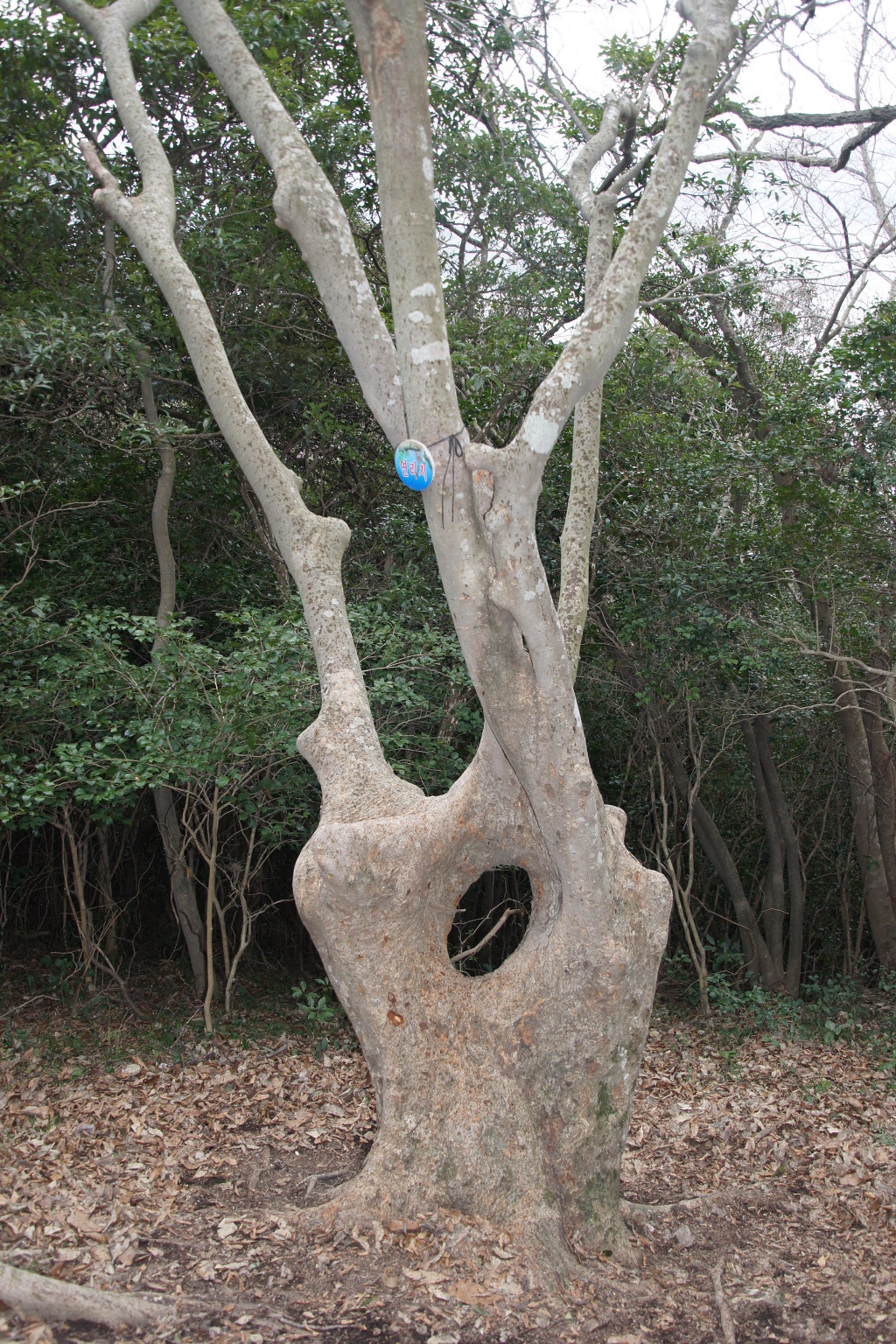 제일기업사 이미지