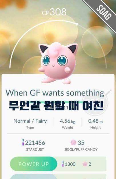 포켓몬고 작명센스 | 인스티즈