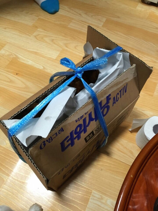 시골 21000원 치킨 | 인스티즈