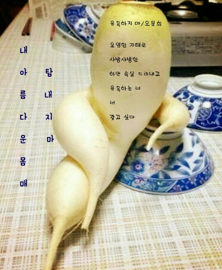 과일이랑야채랑 이미지