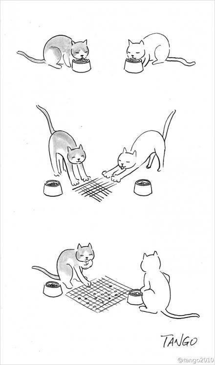냥이 일러스트 | 인스티즈