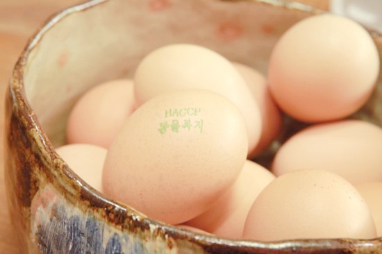 빅마트 이미지