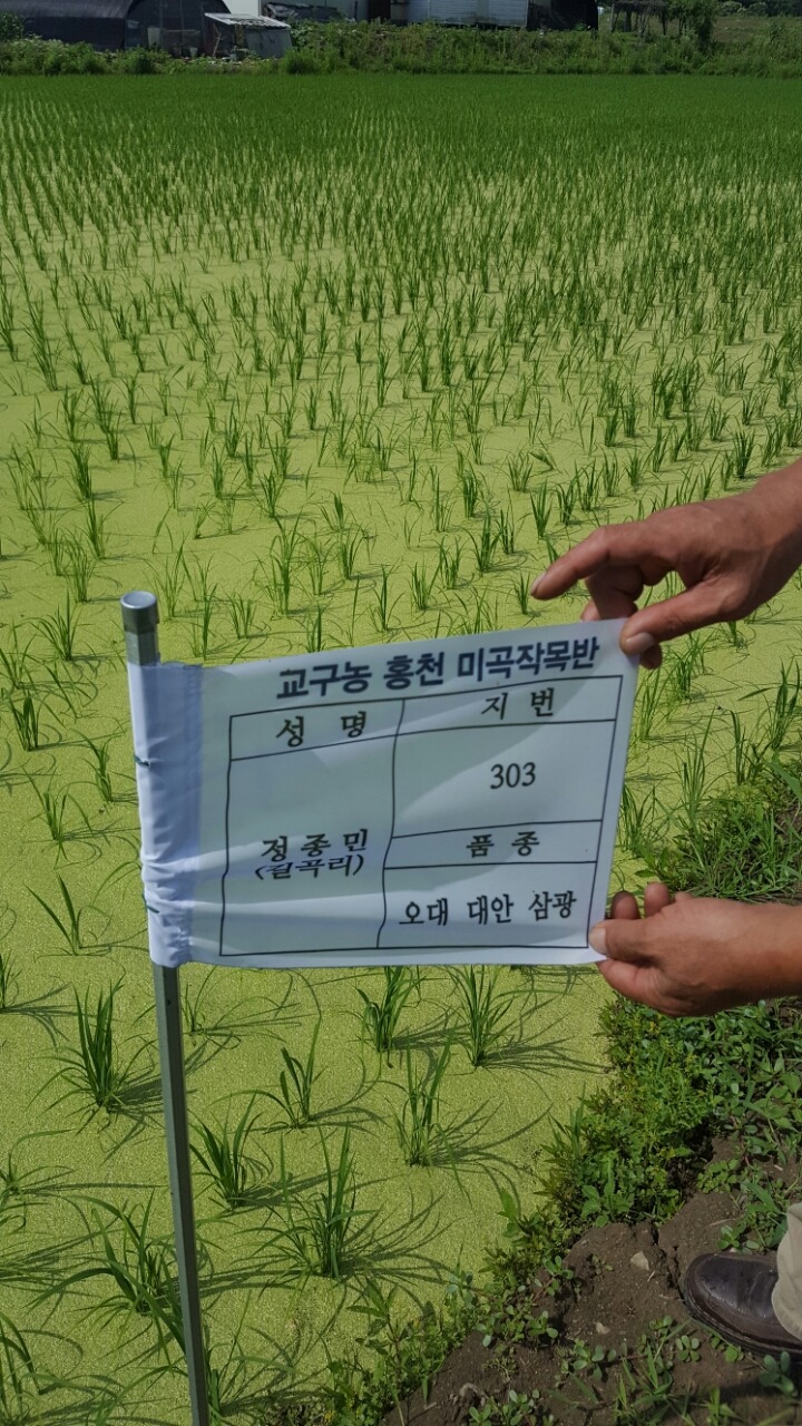 우리농 이미지