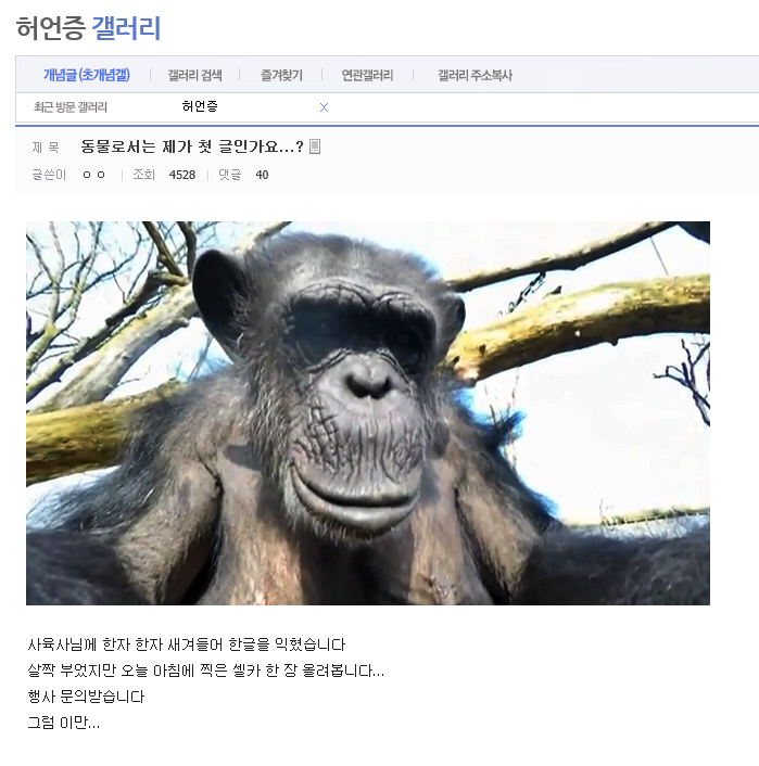 DC허언증갤 첫 동물등장 | 인스티즈