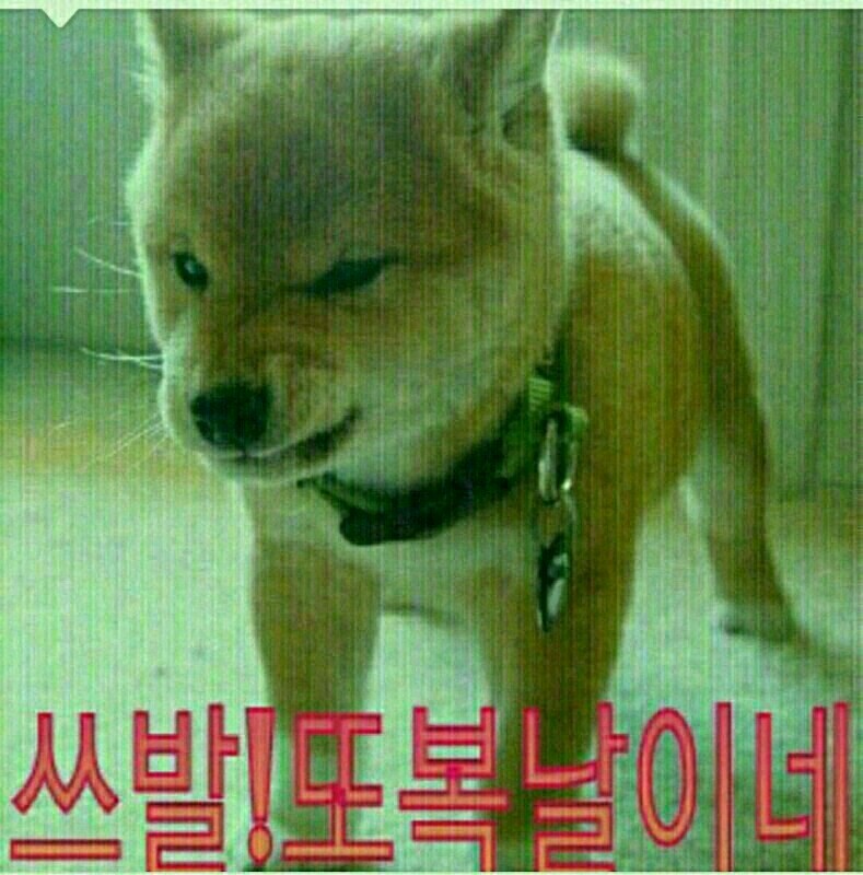 복 이미지